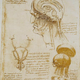 Image for article titled Why Did This Skull Explode?